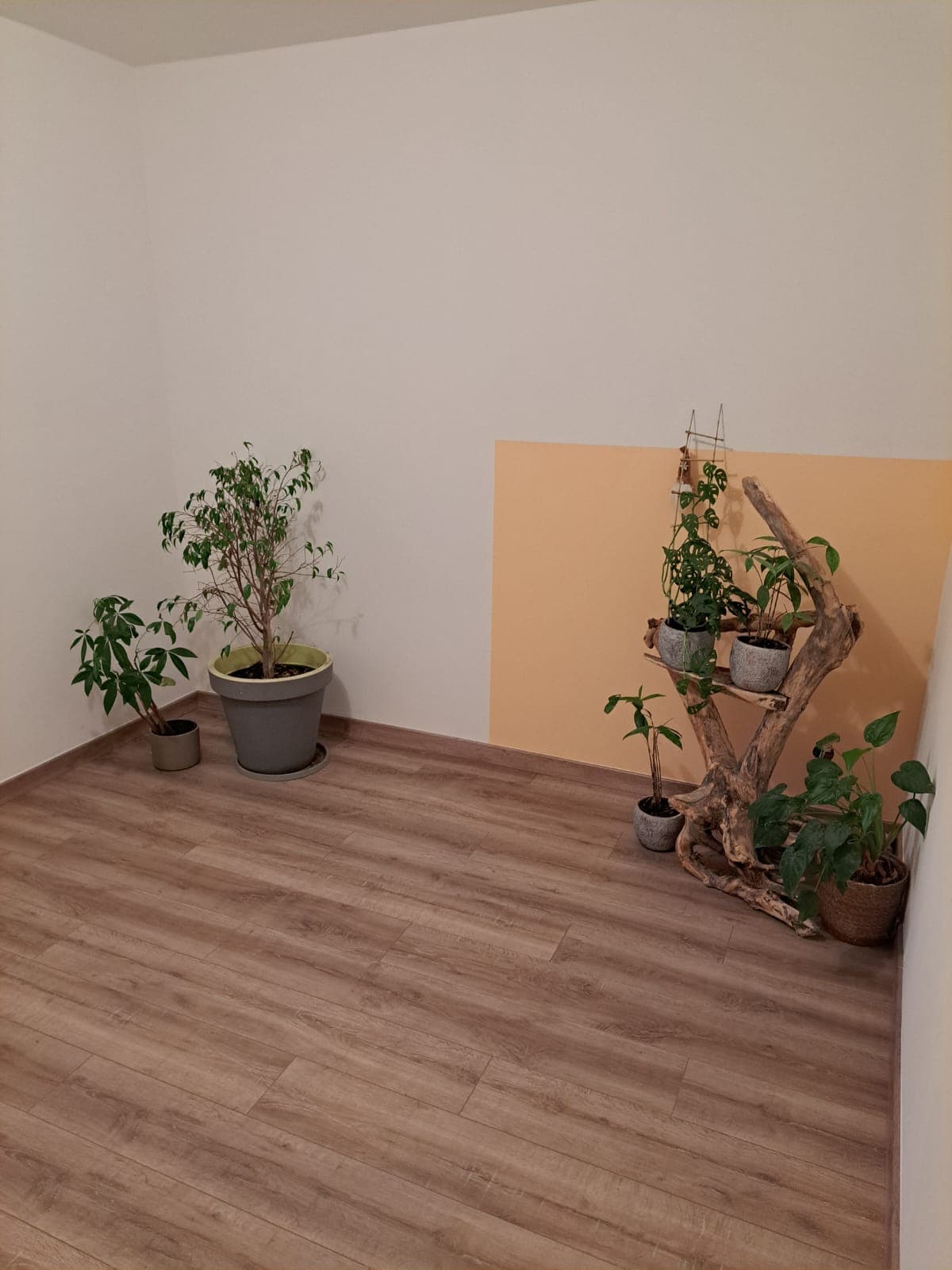 Parquet — chantier ValM39